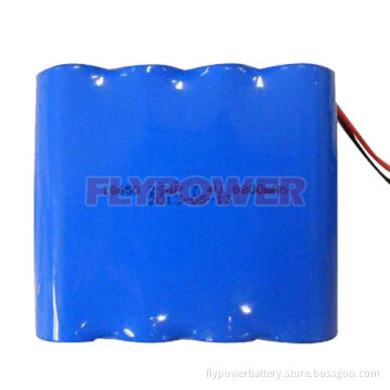 7.4V 8800mAh 18650 Lithium Ion Battery Pack (2S4P of FLC-18650-2200)